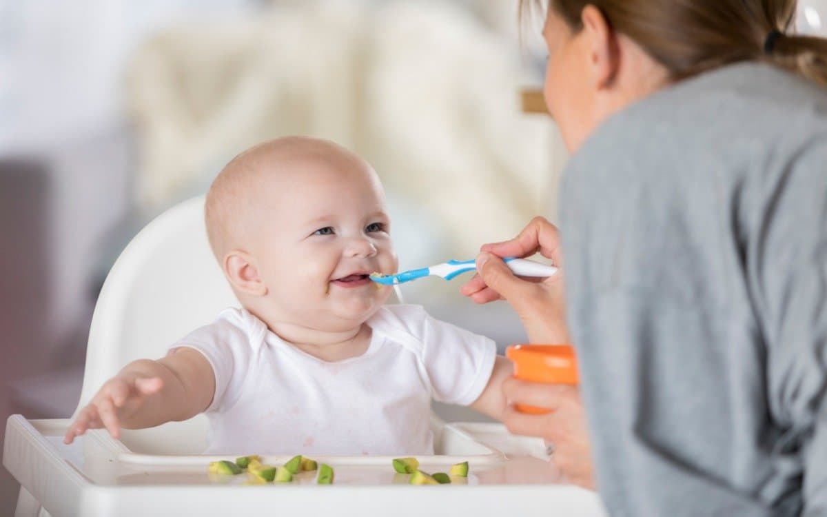 Bebek Beslenmesi: Ek Gıdaya Geçiş ve Sağlıklı Beslenme kapak resmi
