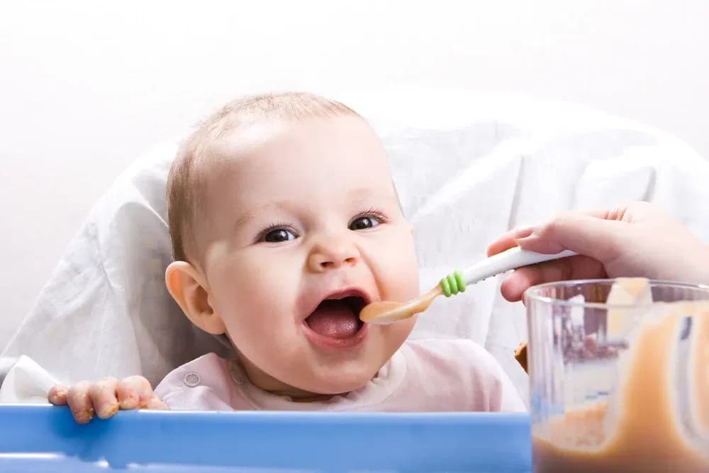 Bebekle Sağlıklı Beslenme: İlk 1000 Günün Önemi ve Beslenme İpuçları kapak resmi