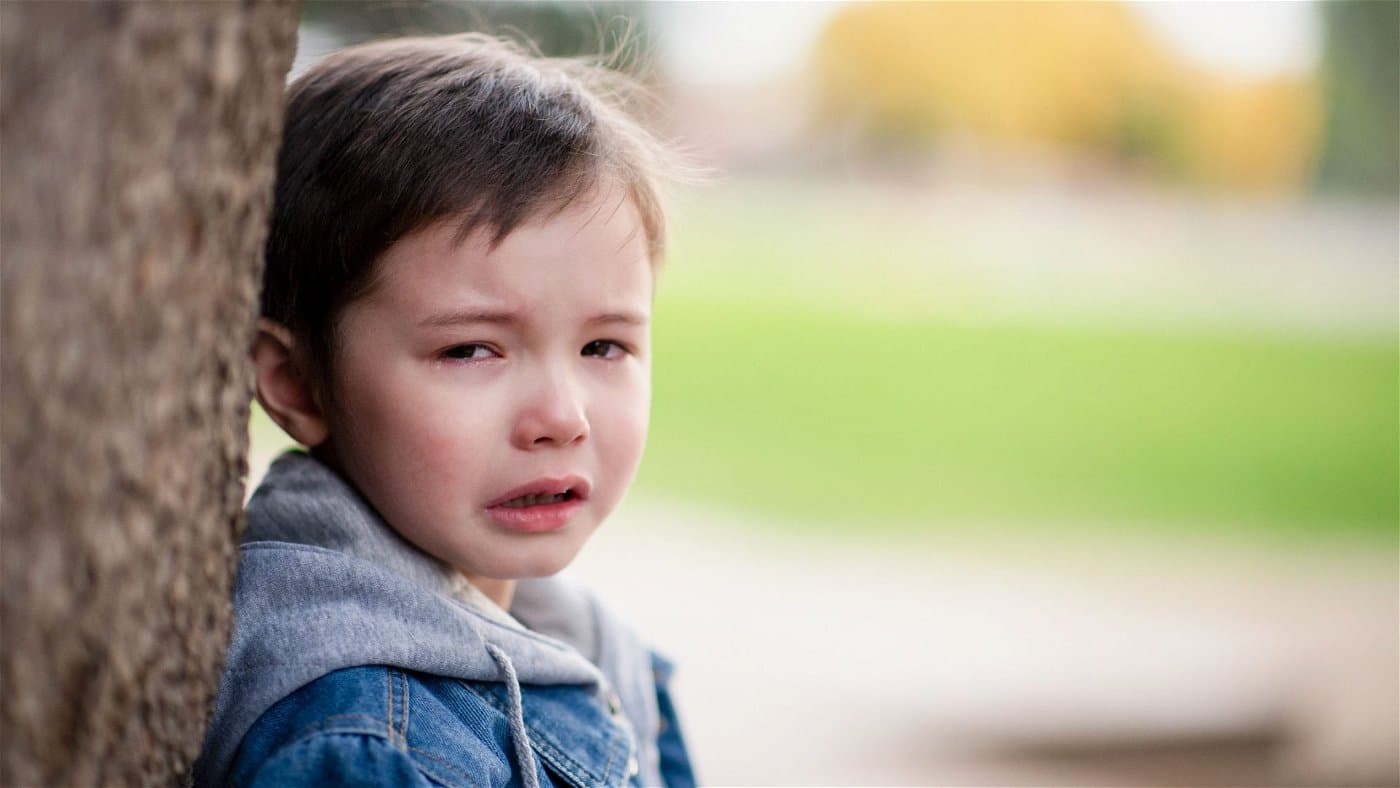 Çocuklarda Sallanan Nesne Fobisi: Pendulaphobia kapak resmi