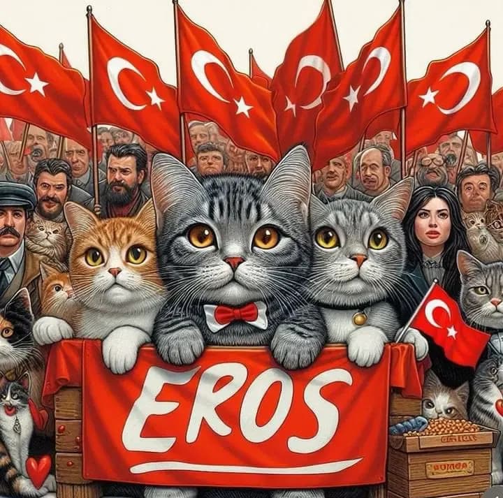 Kedi Eros Olayı Nedir? İbrahim Keloğlan Kimdir? Kedi Eros Davası'nda Neler Oldu ve Ne Karar Verildi? kapak resmi